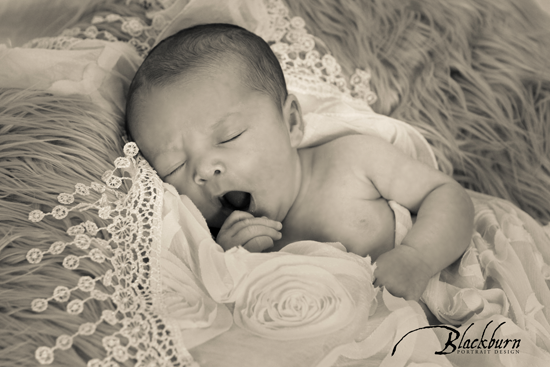 Split Tone Newborn Photo