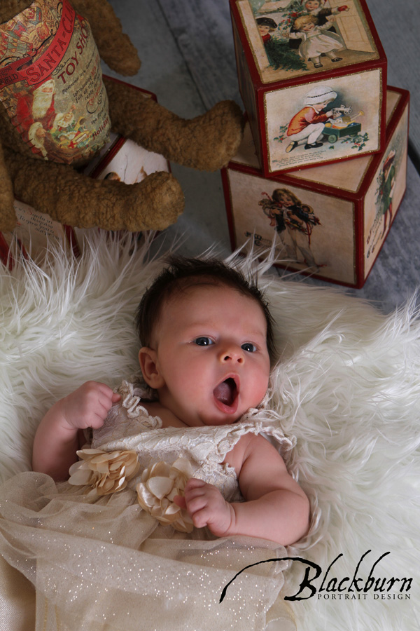 Baby Photos Christmas Saratoga
