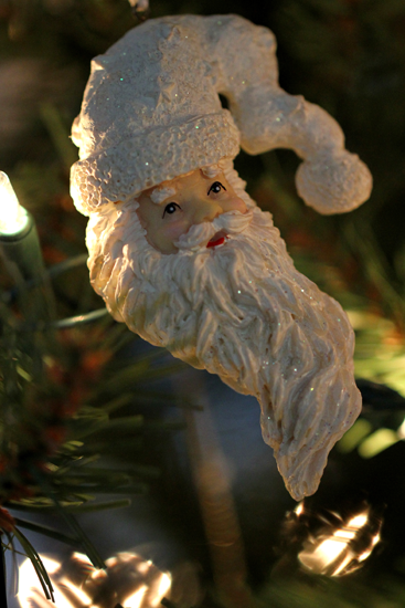 Saratoga Photographer Saratoga Christmas Photos