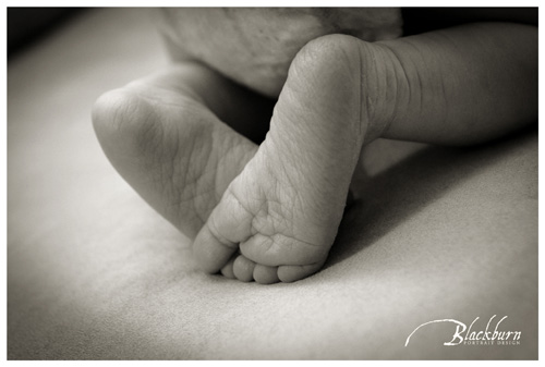 Saratoga Newborn Photographer 08
