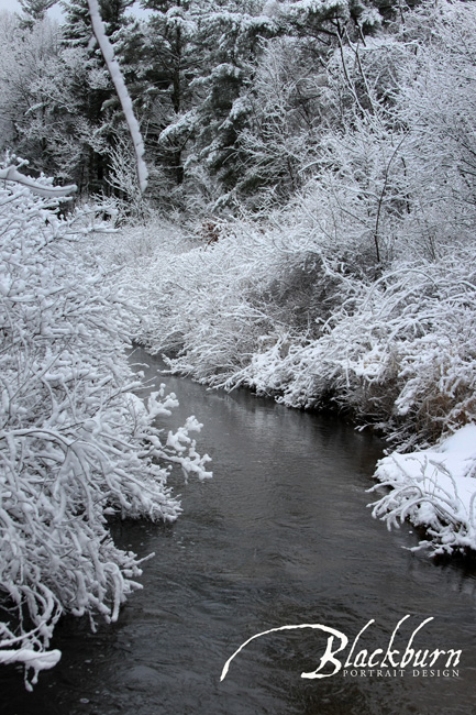 Let It Snow, Let It Snow | Saratoga Photographer
