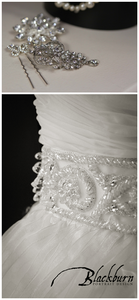 Saratoga Wedding Photos 