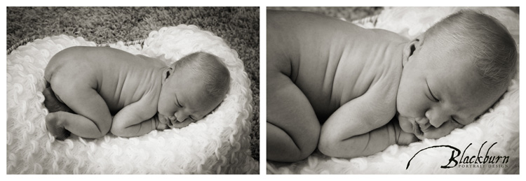 Saratoga NY Newborn Photographer