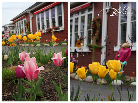 The Posie Peddler Florist Saratoga Saratoga NY Photographer005
