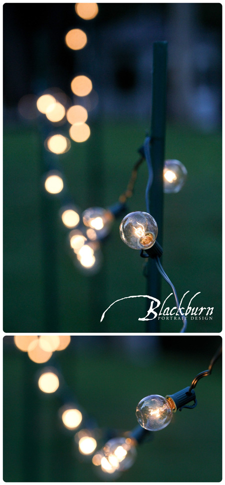 There were Bistro Bulbs and lanterns lighting the path towards the tent.