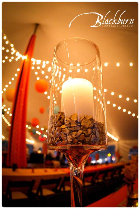 Saratoga Tent Wedding Photos