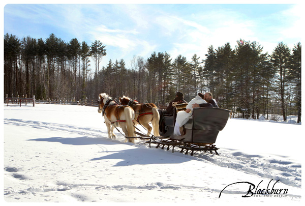 Sleigh Ride Wedding Photo