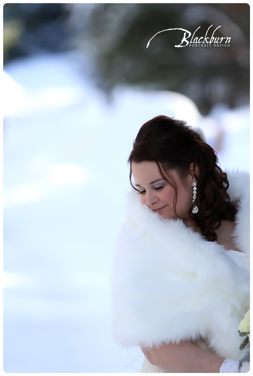 Winter Wedding Photos Fern Lodge
