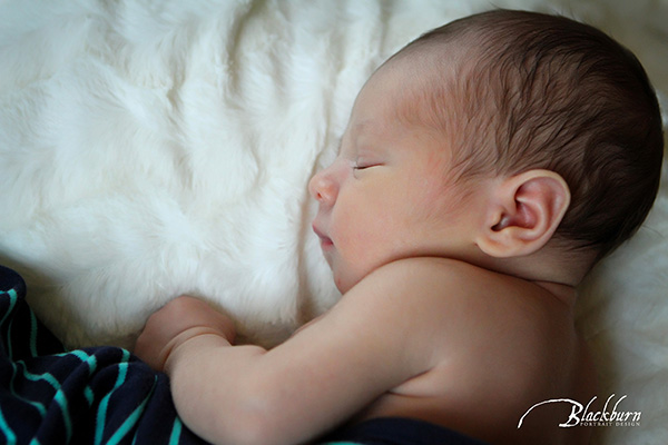 Newborn Baby Photos Saratoga