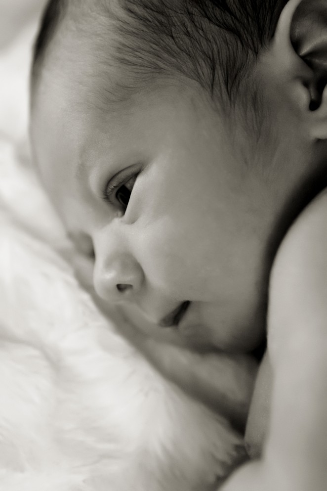 Saatoga Newborn Photography
