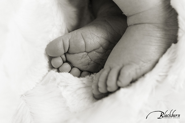 Photos Newborn Babies Saratoga