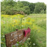 Rustic Farm Wedding Photos Albany NY