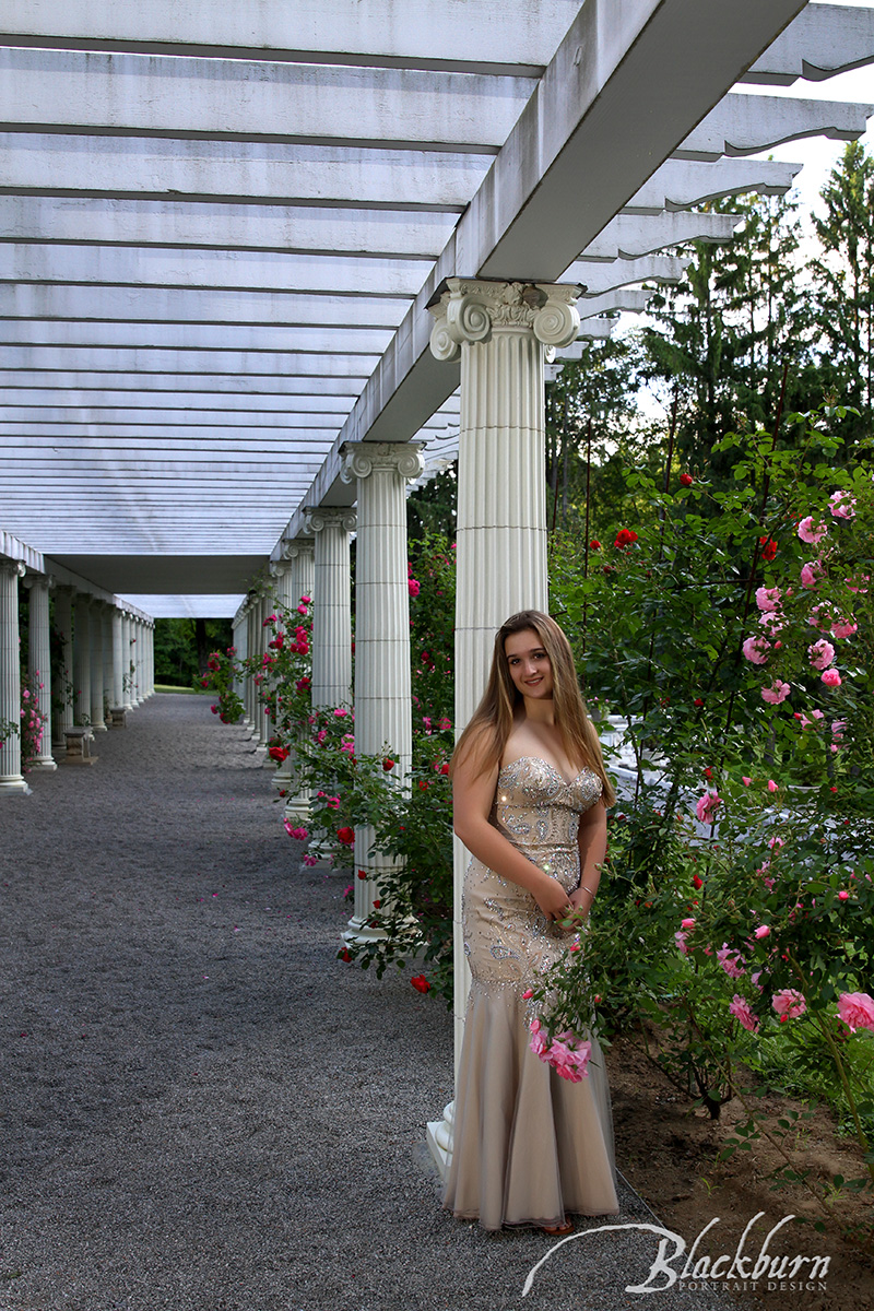 Senior Portrait Saratoga