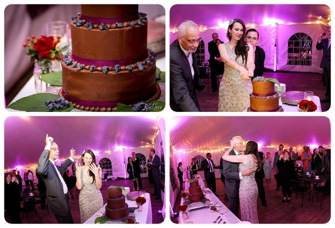 Tent wedding cake cutting photos