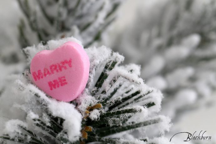 Perfect Proposal Photo