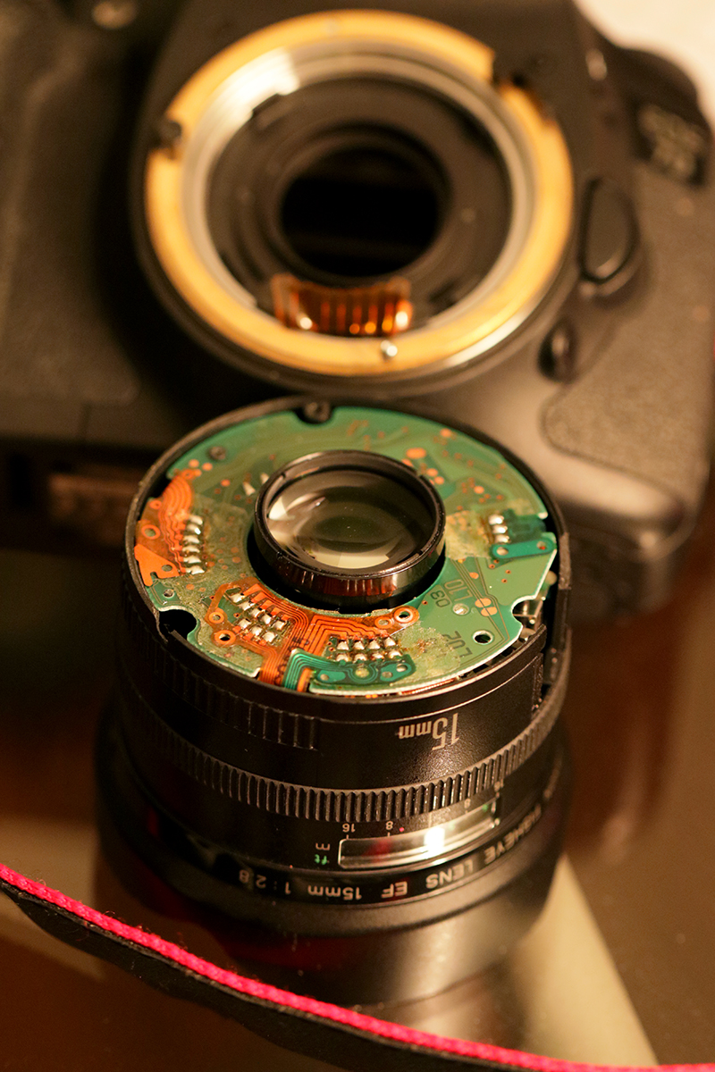Busted:  A Cautionary Tale | Photography Life