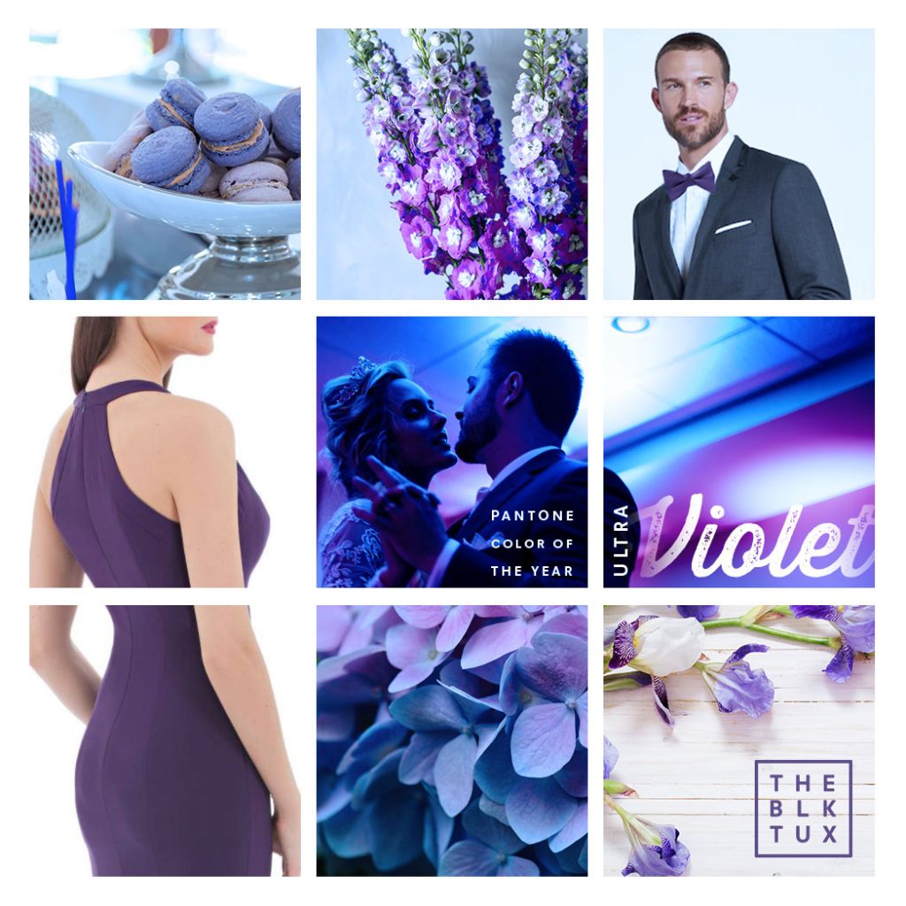 Infographic for Pantone Color of the Year