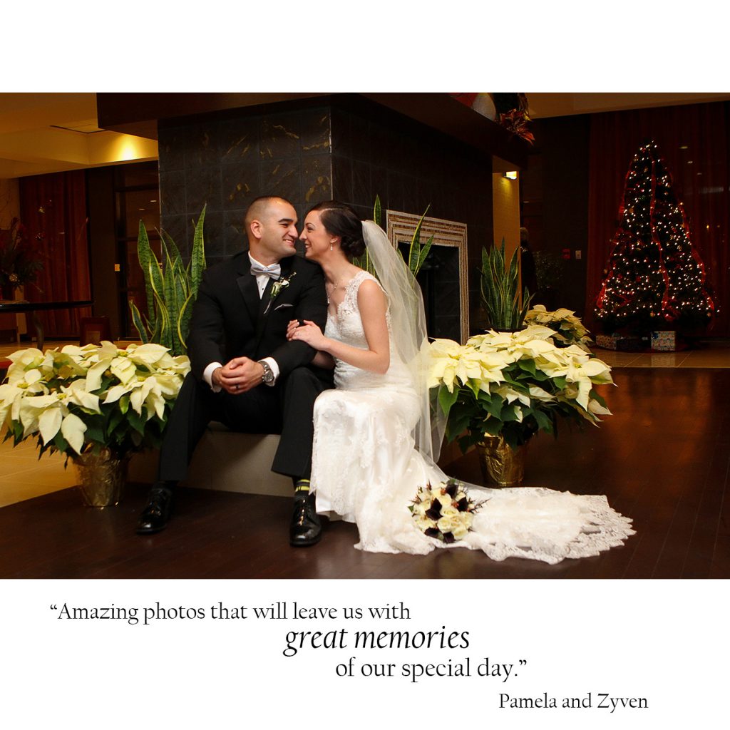Albany Christmas wedding Photos