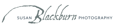 Blackburn Portrait Design