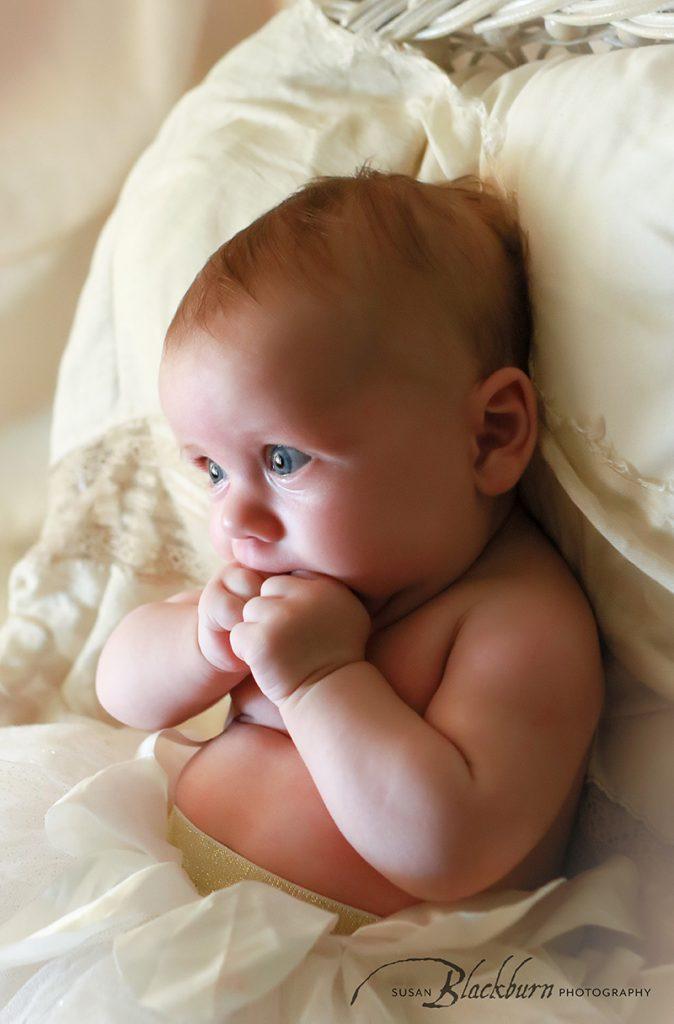 Saratoga NY Newborn Photographers