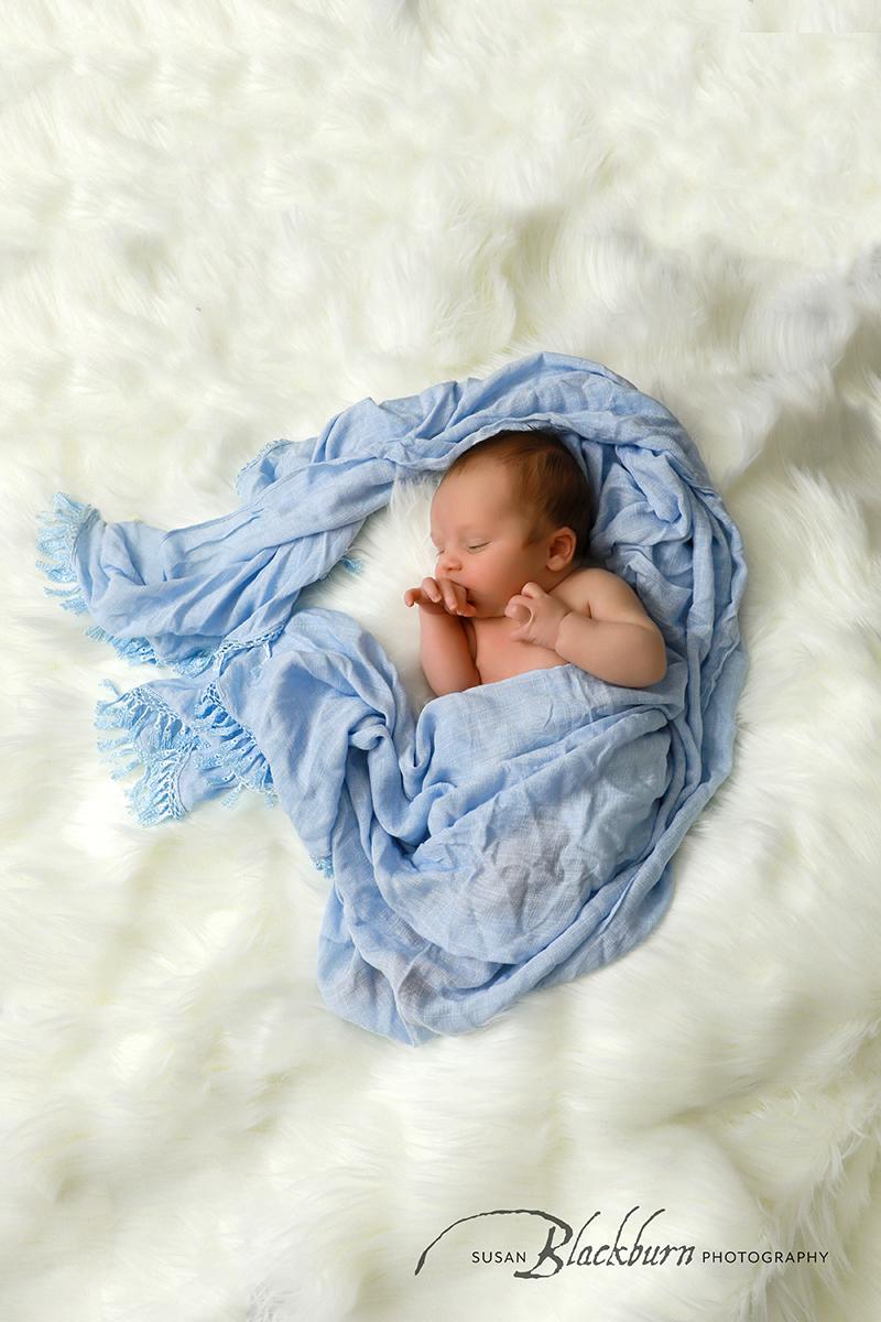 Saratoga NY Newborn Photographers